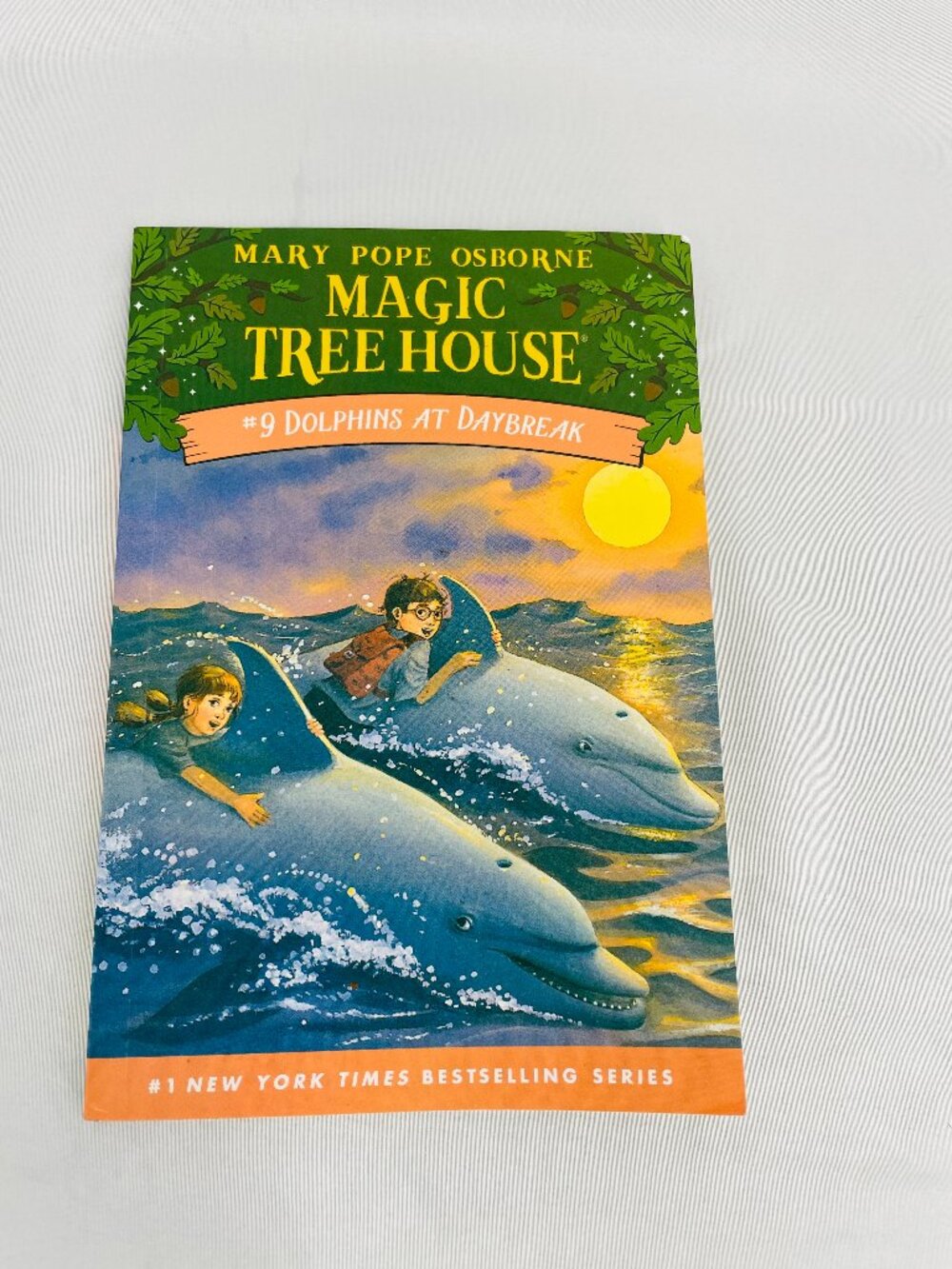Magic Tree House #9 Dolphins at Daybreak Book